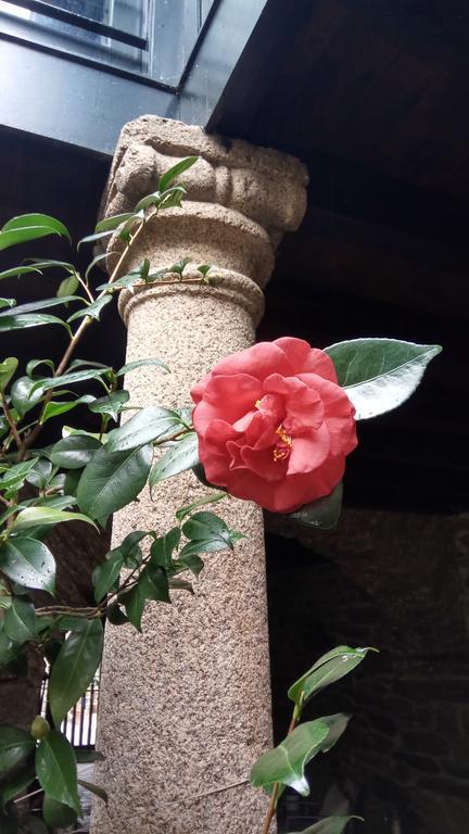 Country house Casa Grande De Cristosende